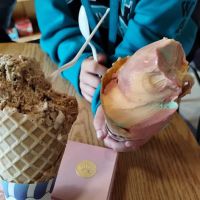 Cathy's Ice Cream n' Candy Shoppe ico