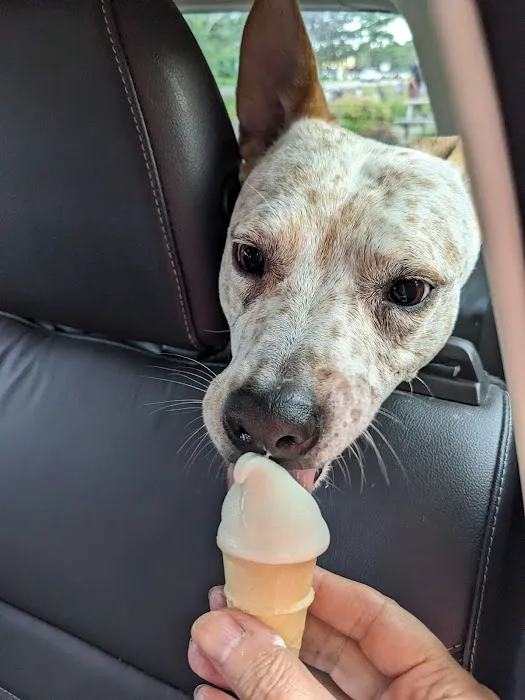 Briq's Soft Serve Picture 9