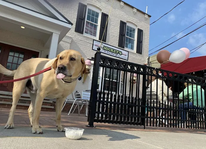 Mickey's Ice Cream & Hot Dogs Picture 8