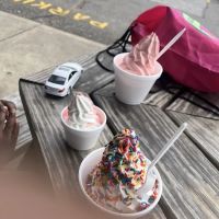 Sweetroz classic custard ico