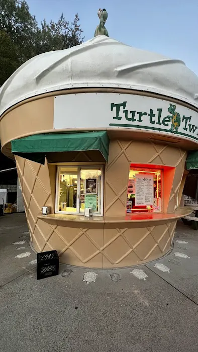 Turtle Twist Picture 1