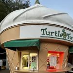 Turtle Twist