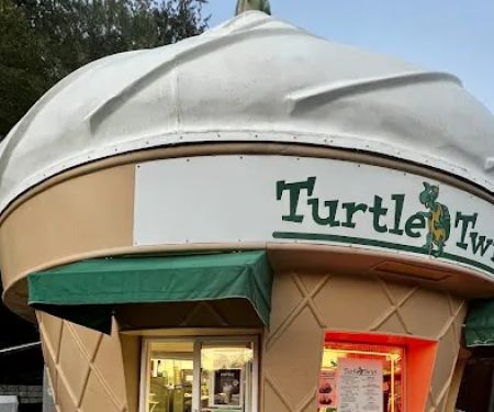Turtle Twist
