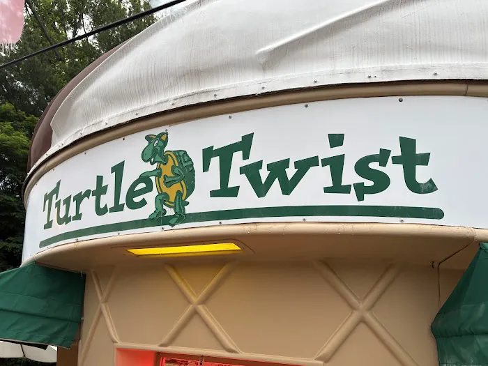 Turtle Twist Picture 5