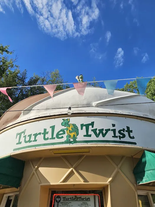 Turtle Twist Picture 10