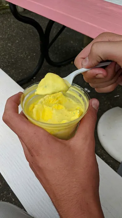 Tasty Creme of Library Picture 5