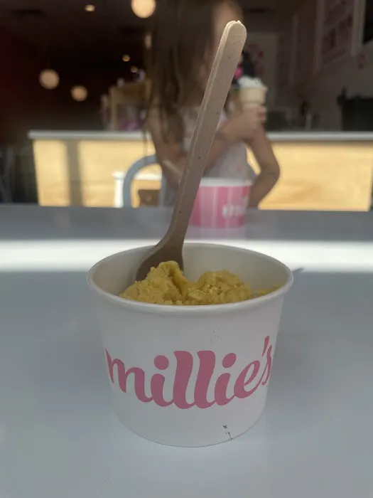 Millie's Homemade Ice Cream Picture 6