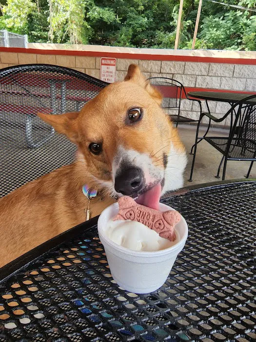 Custard's Picture 6