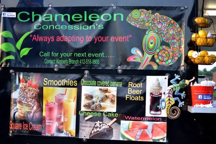 The Chameleon Picture 2