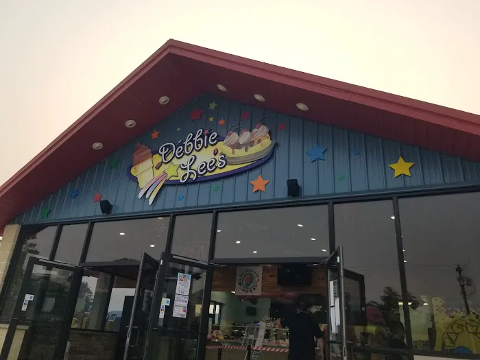 Debbie Lee's Delight - Ice cream & frozen yogurt Picture 7