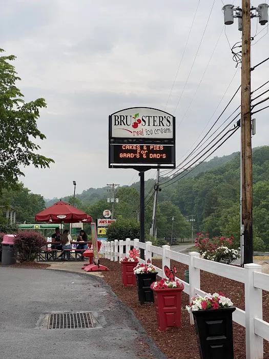 Bruster's Real Ice Cream Picture 5