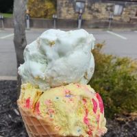 Scoops In Bellevue ico