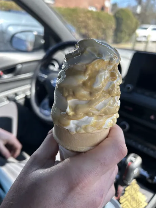 Crafton Ice Cream Delite Picture 4
