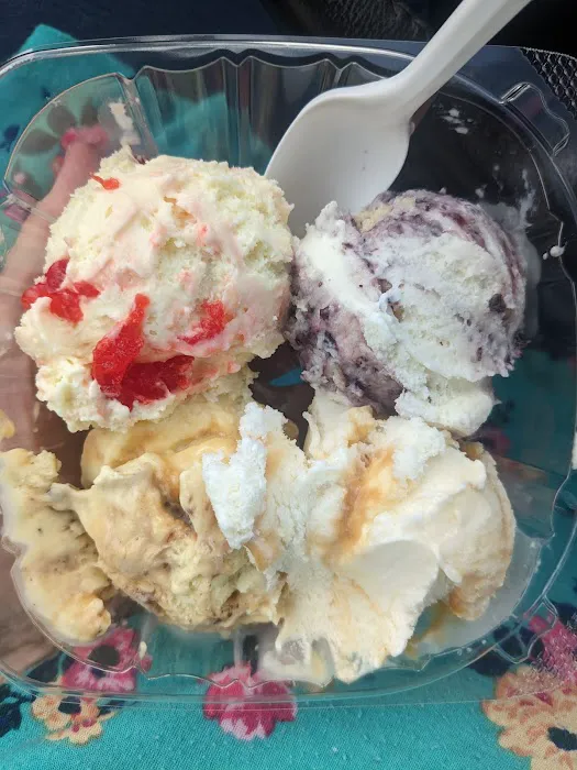 Handel's Ice Cream Picture 10