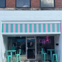 The Scoop Ice Cream LLC ico