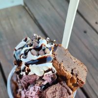 Zoe's Ice-Cream ico