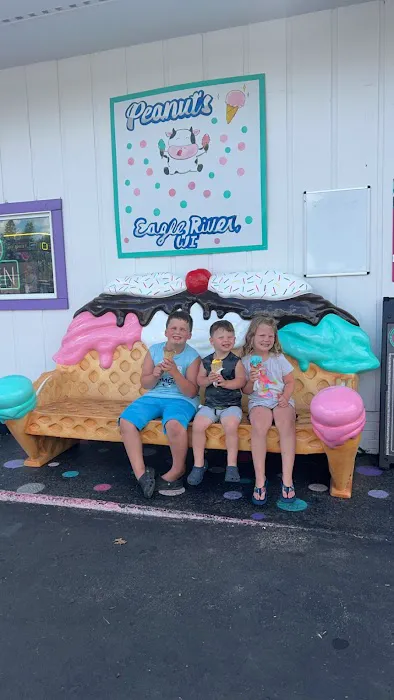 Peanut's Ice Cream and Cookie Dough Picture 7