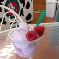 Boardwalk Ice Cream & Fudge ico