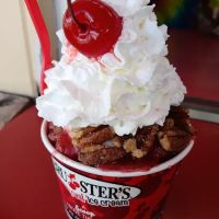 Bruster's Real Ice Cream ico