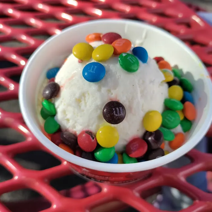 Bruster's Real Ice Cream Picture 6