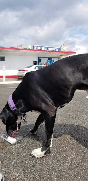 Dairy Queen (Treat) Picture 10