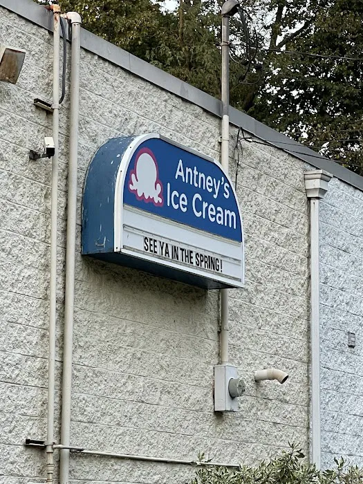 Antney's Ice Cream Picture 9