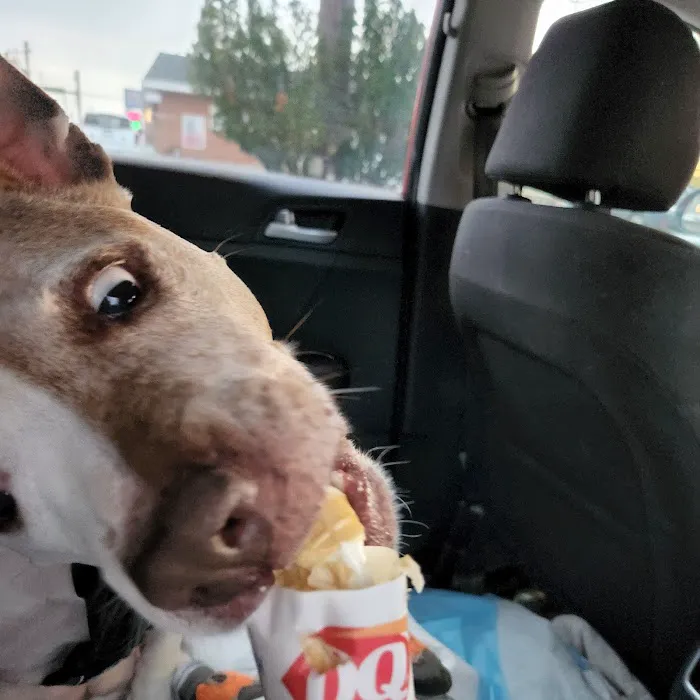 Dairy Queen (Treat) Picture 8