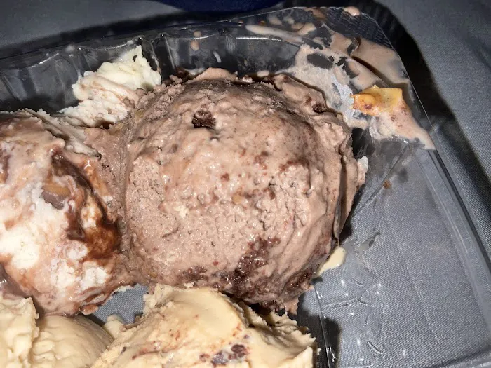 Handel's Homemade Ice Cream Picture 6