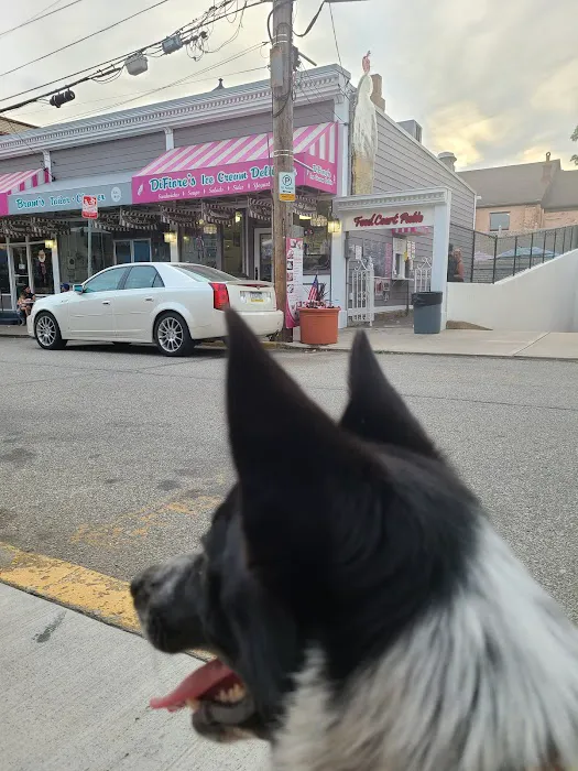 DiFiore's Ice Cream Delite Picture 5