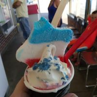 Dairy Queen Store ico