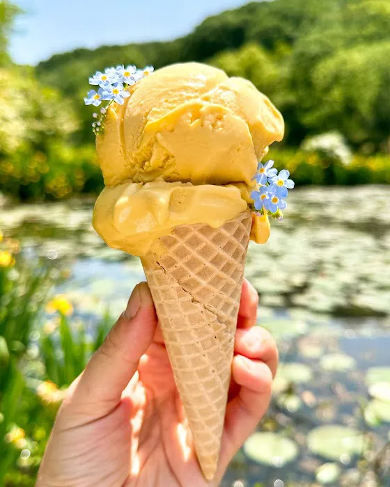 Millie's Homemade Ice Cream Picture 6