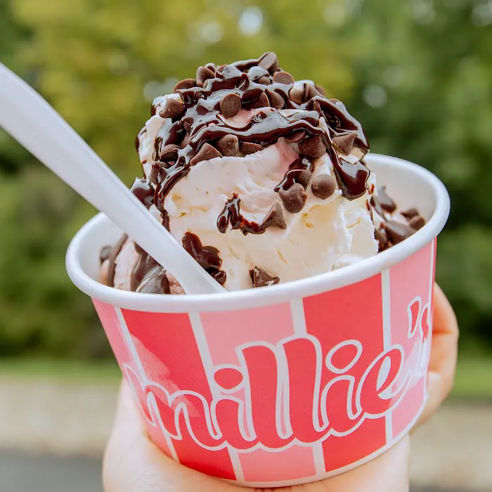 Millie's Homemade Ice Cream Picture 9