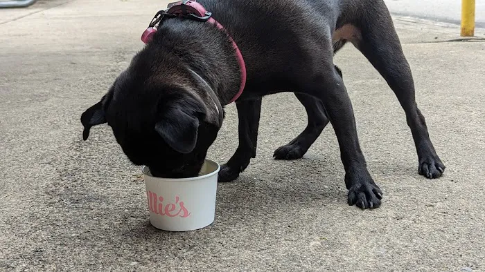 Millie's Homemade Ice Cream Picture 4