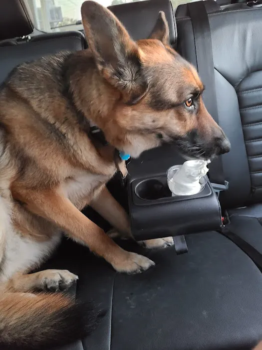Dairy Queen (Treat) Picture 3