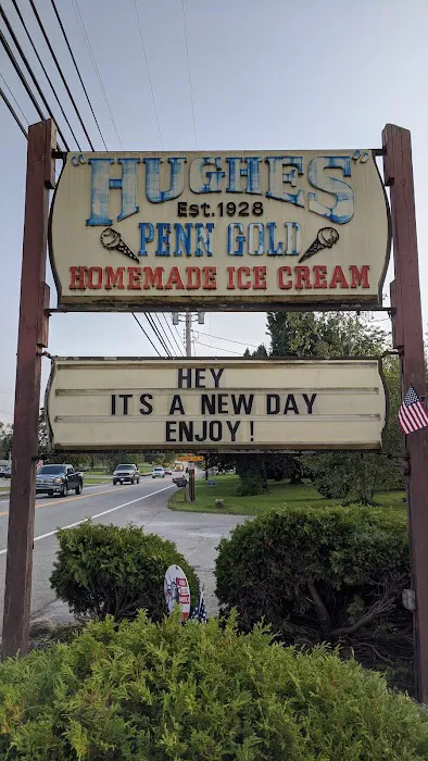 Hughes Penn Gold Ice Cream Picture 6