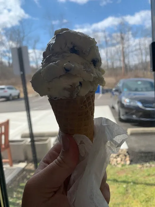 Pine Creek Ice Cream Shop Picture 8