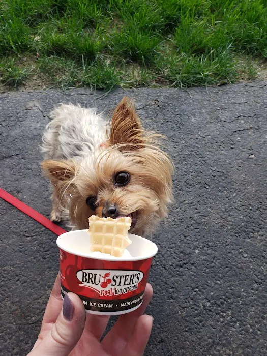 Bruster's Real Ice Cream Picture 7