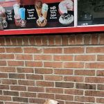 Bruster's Real Ice Cream