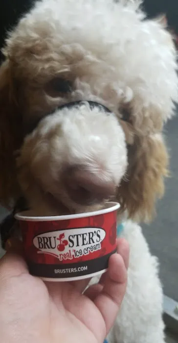Bruster's Real Ice Cream Picture 6