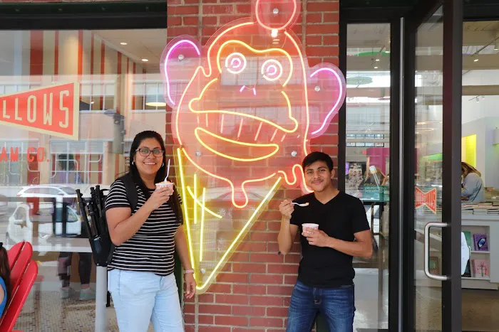 Oddfellows Ice Cream Inc Picture 4