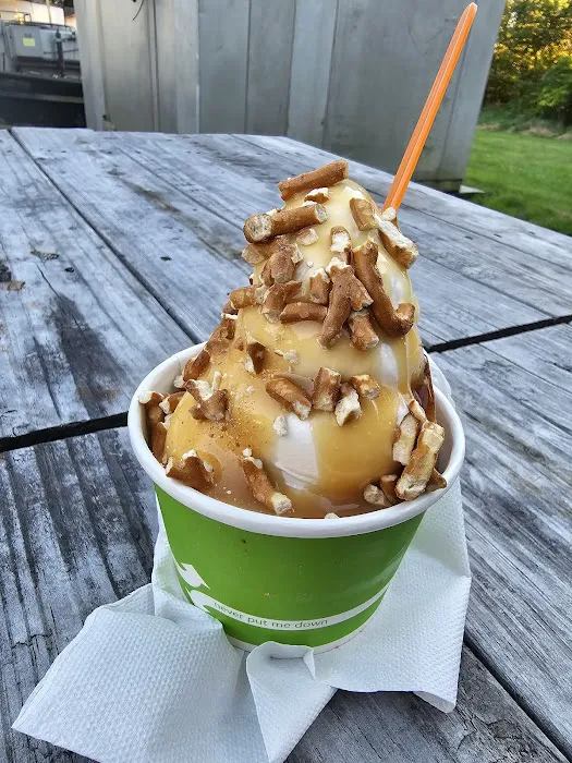 Iggy's Frozen Custard Picture 9