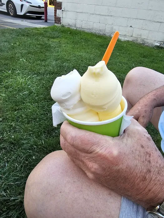Iggy's Frozen Custard Picture 1
