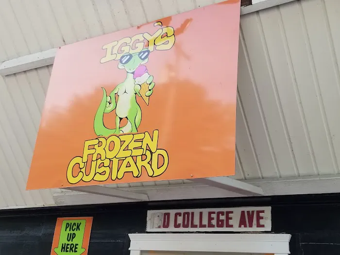 Iggy's Frozen Custard Picture 6