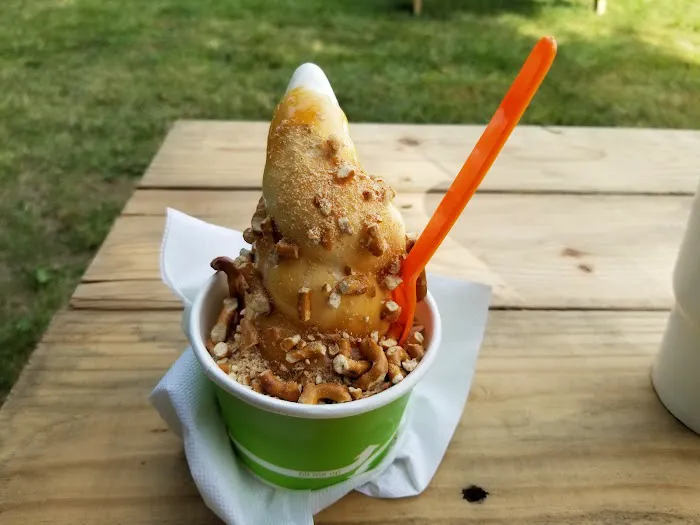 Iggy's Frozen Custard Picture 4