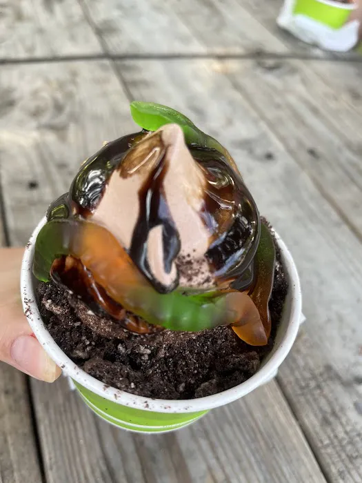 Iggy's Frozen Custard Picture 8