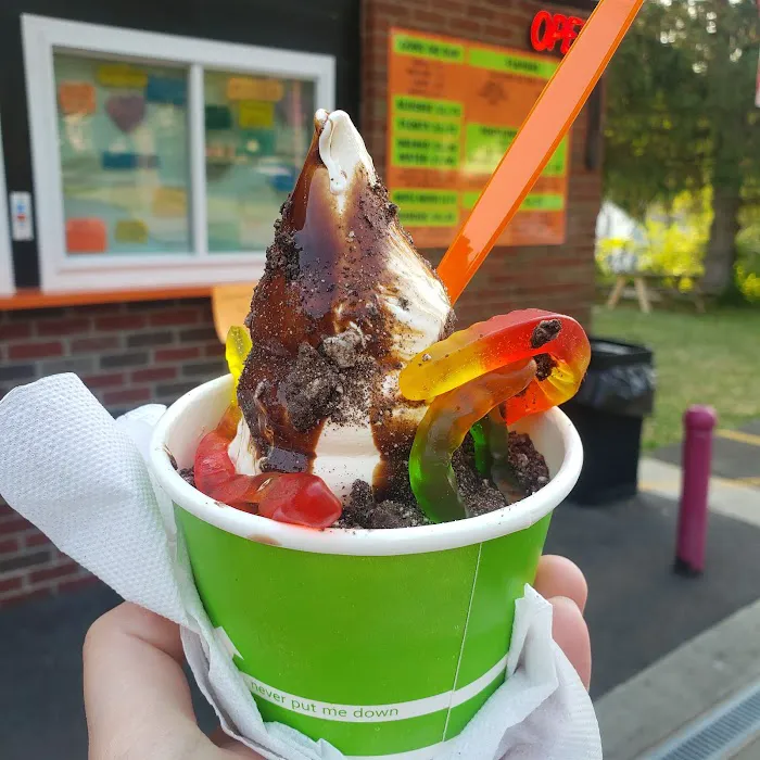 Iggy's Frozen Custard Picture 3