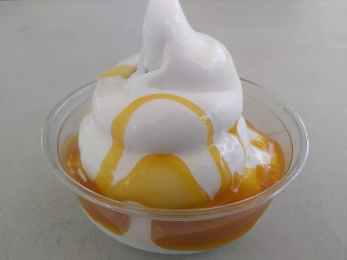 Dairy Delight Picture 3