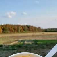 Rock Stream Farm ico