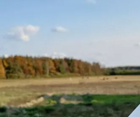Rock Stream Farm