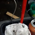 Dairy Queen